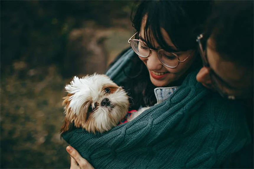 Penicillina per animali: guida completa all'uso sicuro